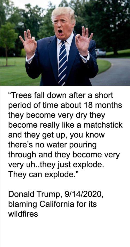 YPt3aTo.jpg