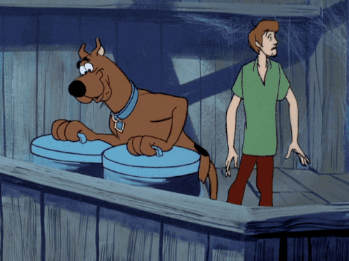 FSERMde.gif