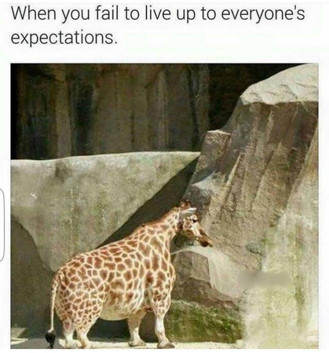 hBXiz9d.jpg