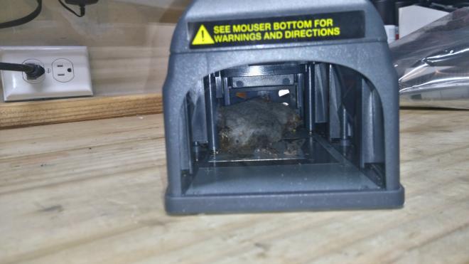 mouser.JPG