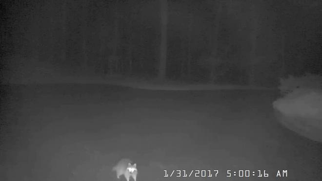 Cam6 2017-1-31 5.00.16.0 