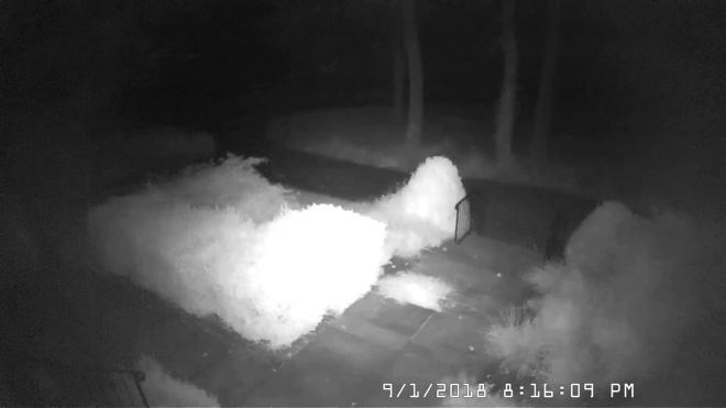 Front Door 2018-9-1 08.16