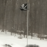 weather16.gif