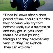 YPt3aTo.jpg