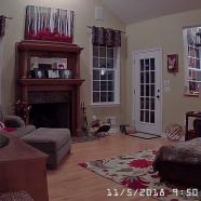 White Indoor PTZ 2018-11-
