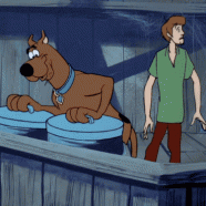 FSERMde.gif