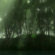 verdure1920.jpg