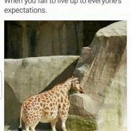 hBXiz9d.jpg