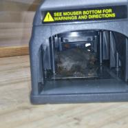 mouser.JPG