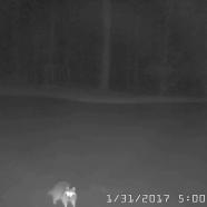 Cam6 2017-1-31 5.00.16.0 