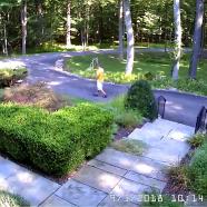 Front Door 2018-9-3 10.14